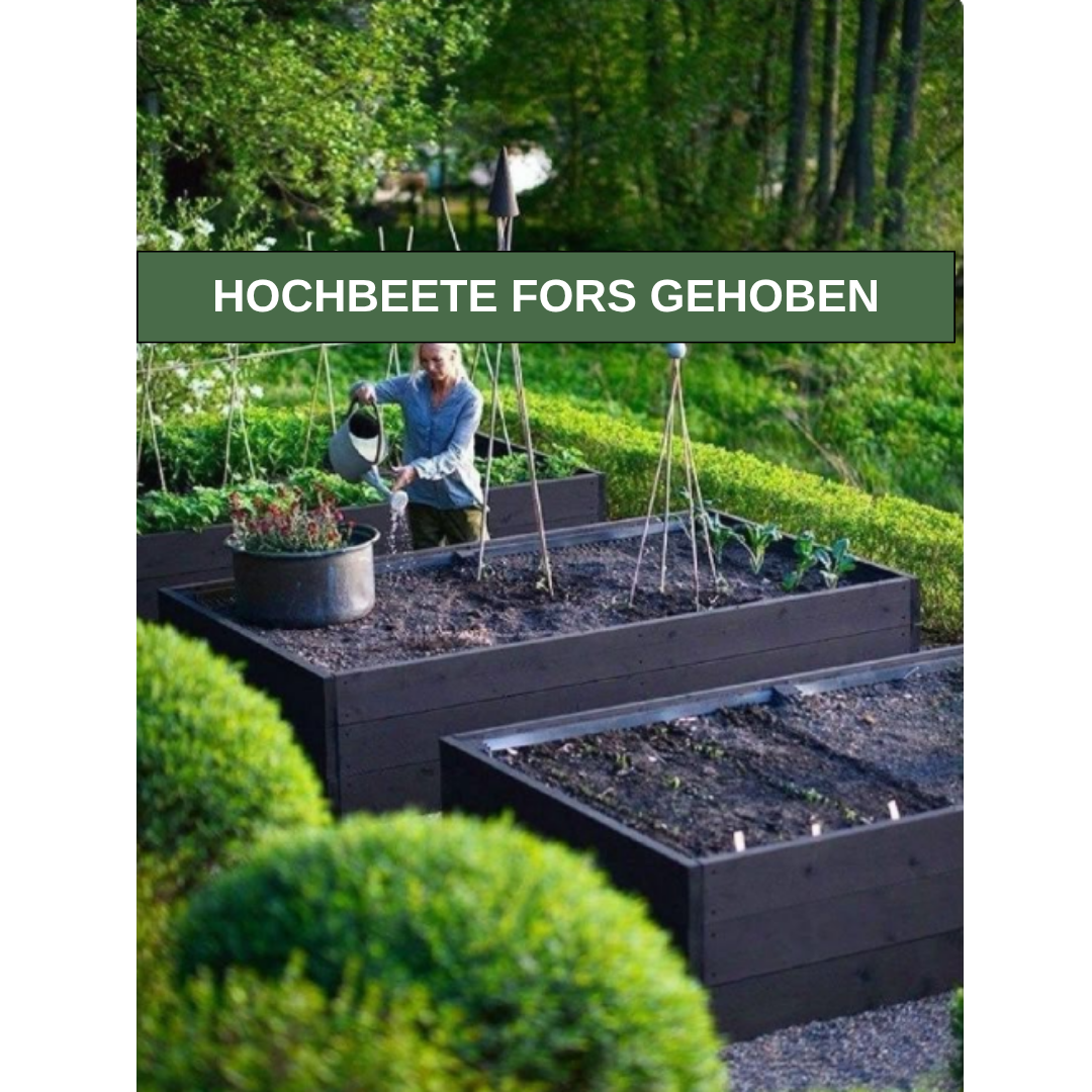 Hochbeet